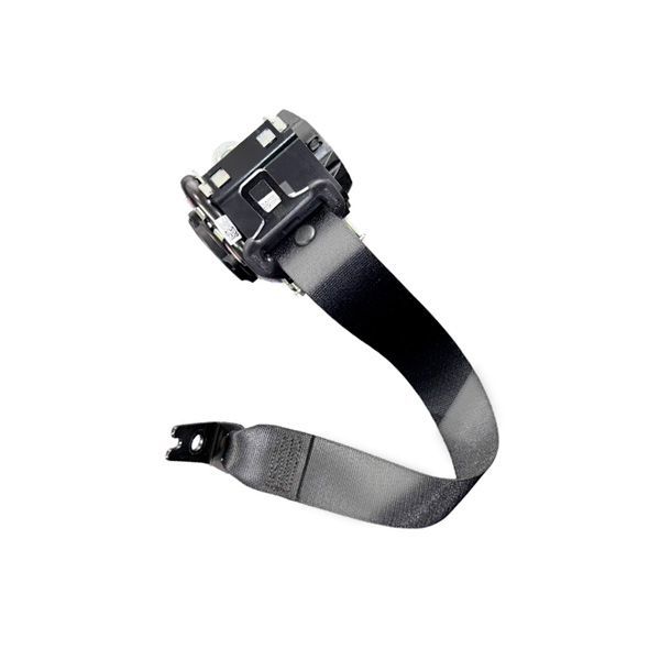 Система безопасности