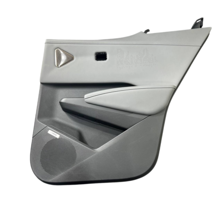 Обшивка двери (R/R) ZEEKR X